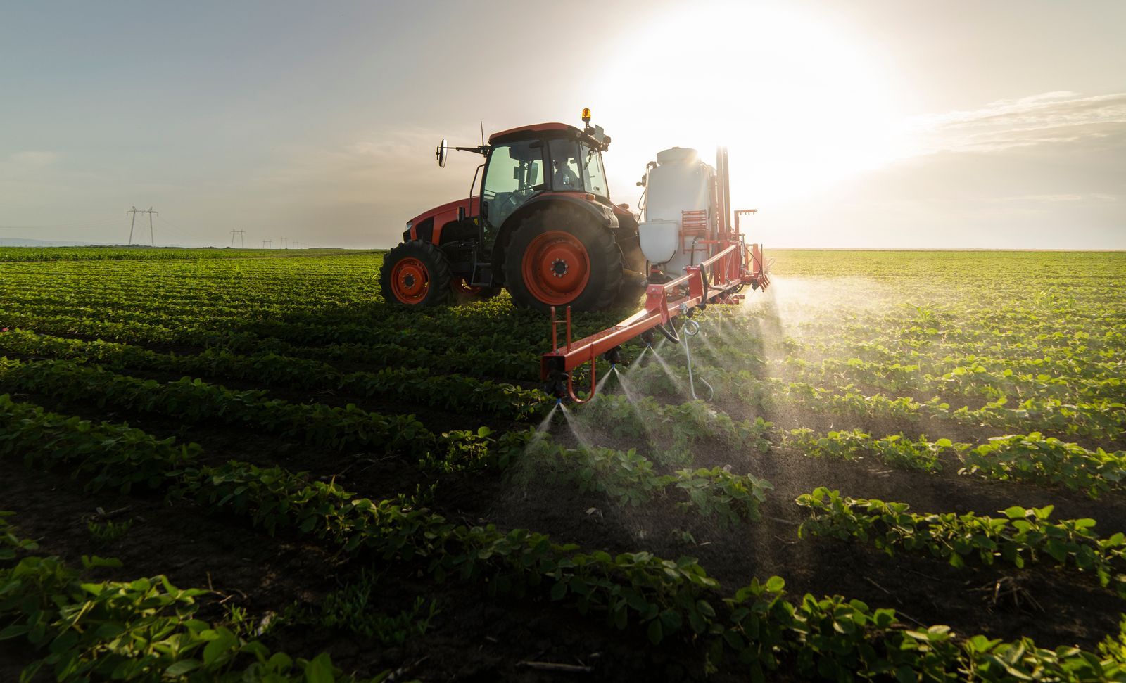 Landwirtschaft und Ernährung